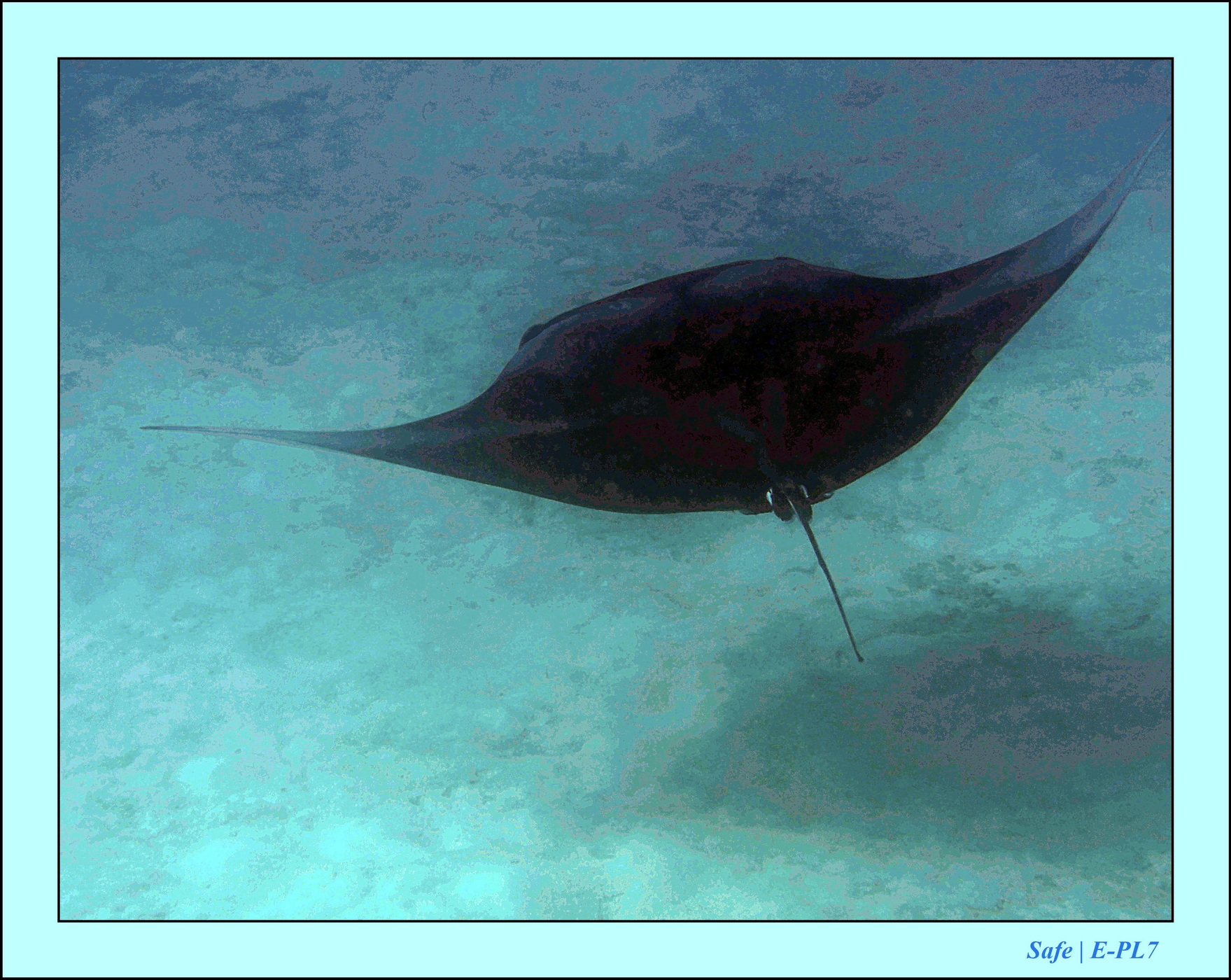 2023 - 07 - Sandies Bathala - 131